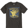harry potter ravenclaw quidditch shirt